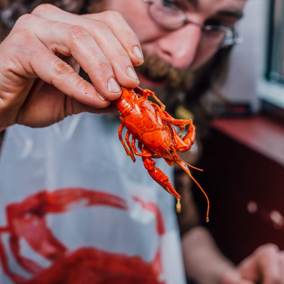 A person wearing glasses and a bib with a crab design holds up a cooked crawfish.