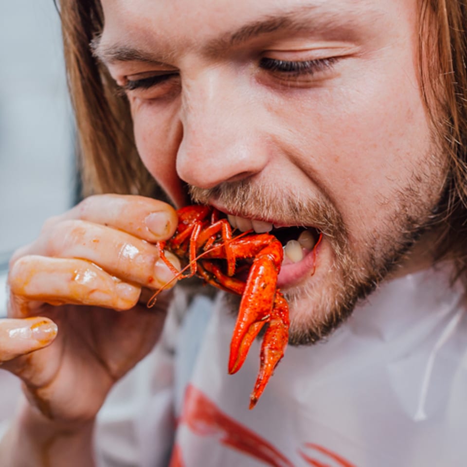 A man with long hair and a beard eating a red crawfish, wearing a plastic bib.